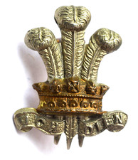 Leinster regiment metal for sale  BANGOR