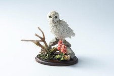 Country artists snowy for sale  Racine
