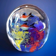 Acquario vetro sommerso usato  Massa di Somma