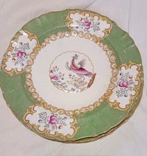 Antique minton cockatrice for sale  DUNDEE
