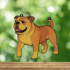 Bulldog dog custom for sale  Corpus Christi