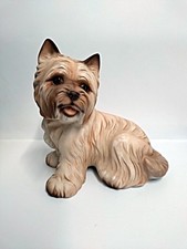 Vintage sitting cairn for sale Vintage sitting cairn for sale  TREHARRIS