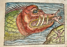 SEA MONSTER 1552 SEBASTIAN MUNSTER VISTA ANTIGA SÉCULO 16 comprar usado  Enviando para Brazil