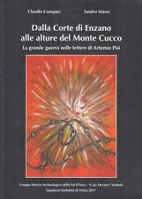 Dalla corte enzano usato  Parma