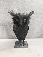 Cute black owl for sale  League City