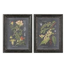 Black botanical floral for sale  USA