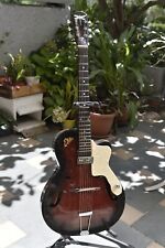 Chitarra archtop eko usato  Savona