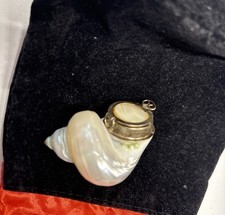 Rare vintage nautilus for sale  Chelsea