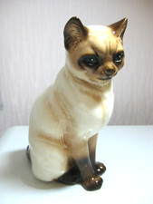 Cortendorf siamese cat for sale  NOTTINGHAM