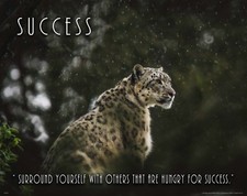 Snow leopard wildlife for sale  Center Point