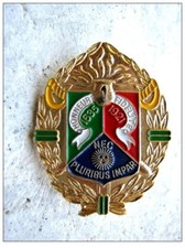 Grand pins legion d'occasion Grand pins legion d'occasion  Saint-Mamert-du-Gard