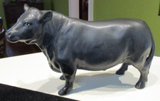 6 cows for sale 6 cows for sale Chicopee