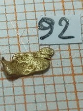 Pepita oro provenienza usato  Biella