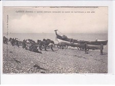Cayeux chevaux rehalent d'occasion  France