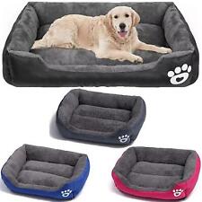 Extra large dog for sale  MANCHESTER