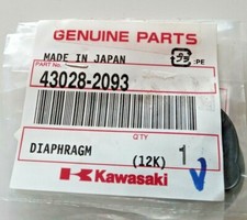 Membrana originale kawasaki usato  Prarolo