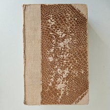 Dizionario della lingua usato  Volano