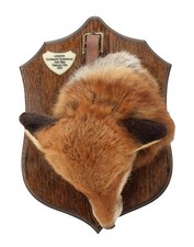 Red fox hanging for sale  MORPETH