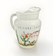 Arizona cactus pitcher for sale  Albuquerque