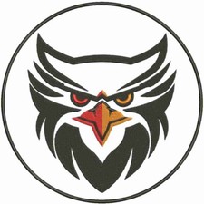 Rückenpatch falke aufnäher gebraucht kaufen  Kassel