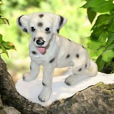 Happy dalmatian puppy for sale  Sugar Grove