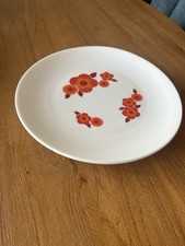 Grand plat rond d'occasion  Pîtres