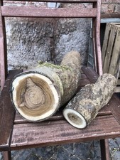 Drechselholz goldregen dicke gebraucht kaufen  Gleichen