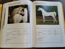 Asil araber araber gebraucht kaufen  Duisburg