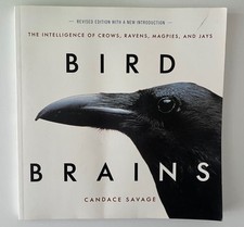 Bird brains intelligence for sale  LITTLEHAMPTON