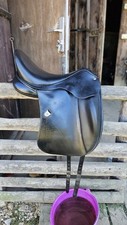 wintec sattel isabell werth gebraucht kaufen wintec sattel isabell werth gebraucht kaufen Nürtingen
