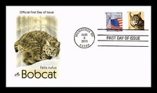 Usado, CACHET COMBO ARTCRAFT CAPA DOS EUA BOBCAT 1C EDIÇÃO DO PRIMEIRO DIA comprar usado  Enviando para Brazil