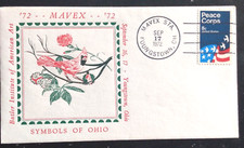 Symbols ohio cardinal usato  Spedire a Italy