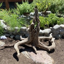 Large beautiful driftwood for sale  Yuba City