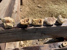 Geode rocks natural for sale  Springville