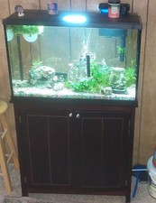 Gallon complete aquarium for sale  Florence