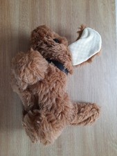Alter hund hellbraun gebraucht kaufen  Dornhan