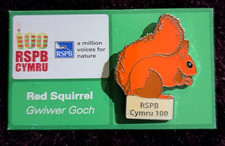 Rspb bird pin for sale  HOLYHEAD