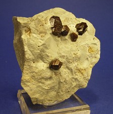 Pyrit zwillinge bösingfeld gebraucht kaufen  Rheda-Wiedenbrück