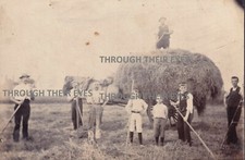 Original edwardian photo for sale  NORTHAMPTON