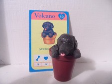 Meg vintage puppy for sale  Moberly