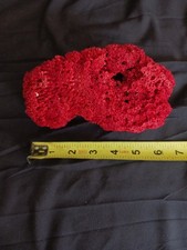 Natural authentic red for sale  Statesville