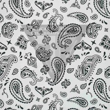 Kydex paisley pattern for sale  Metamora
