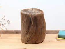 Treibholz stamm 27cm gebraucht kaufen  Bad Schandau