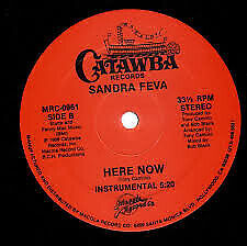 Sandra feva here gebraucht kaufen  Berlin