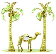 Cammello con palme usato  Corigliano Rossano