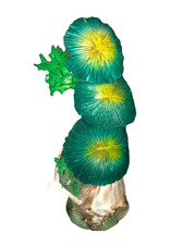 seashell flower arrangement for sale seashell flower arrangement for sale Nunda