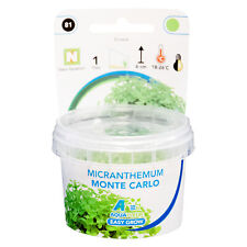 Aquafleur easy grow for sale  DARTFORD