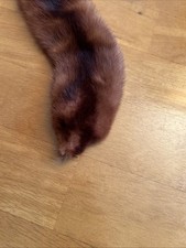 real fur collar for sale real fur collar for sale SHREWSBURY