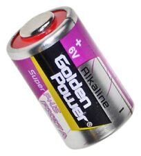 6V Batterie PX27A PX27 V27PX EPX27 RPX27 PX27G 4AG12 4LR43 Alkali 6V Foto comprar usado  Enviando para Brazil