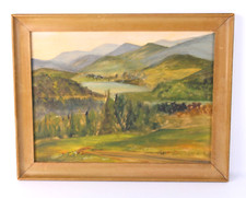 Mid century mountain for sale  Ocala